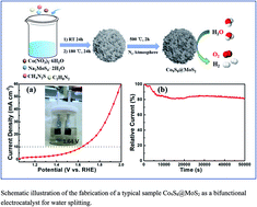 Graphical abstract: Microflower-like Co9S8@MoS2 heterostructure as an efficient bifunctional catalyst for overall water splitting