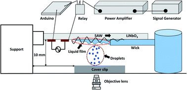 Graphical abstract: Surface acoustic wave-based generation and transfer of droplets onto wettable substrates