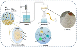 Graphical abstract: Efficient leaching process of rare earth, alkali and alkaline earth metals from phosphogypsum based on methanesulfonic acid (MSA) as green & eco-friendly lixiviant