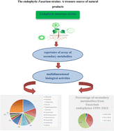 Graphical abstract: The endophytic Fusarium strains: a treasure trove of natural products