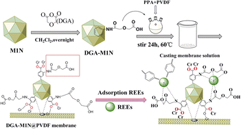 Graphical abstract: Postsynthetic of MIL-101-NH2 MOFs supported on PVDF membrane for REEs recovery from waste phosphor