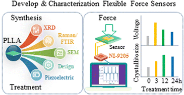 Graphical abstract: Raman mapping of piezoelectric poly(l-lactic acid) films for force sensors