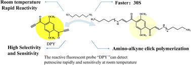 Graphical abstract: A novel fluorescent probe of alkyne compounds for putrescine detection based on click reaction