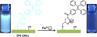 Graphical abstract: Fluorescent cellulose nanocrystals based on AIE luminogen for rapid detection of Fe3+ in aqueous solutions