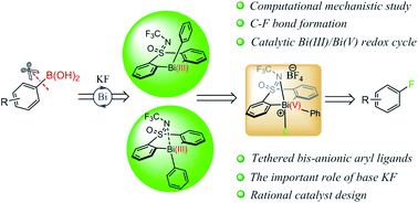 Graphical abstract: Mechanistic study of the bismuth mediated fluorination of arylboronic esters and further rational design