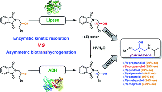 Graphical abstract: Development of a novel chemoenzymatic route to enantiomerically enriched β-adrenolytic agents. A case study toward propranolol, alprenolol, pindolol, carazolol, moprolol, and metoprolol