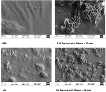 Graphical abstract: Cold atmospheric plasma driven self-assembly in serum proteins: insights into the protein aggregation to biomaterials