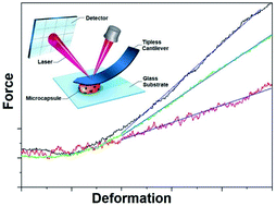 Graphical abstract: Nanodeformations of microcapsules: comparing the effects of cross-linking and nanoparticles