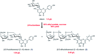 Graphical abstract: Enzymatic synthesis of vitexin glycosides and their activity