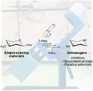 Graphical abstract: Exploiting angled thin film vortex microfluidics for expeditious syntheses of iminosugars