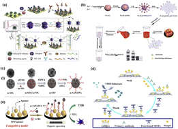 Graphical abstract: Nanozyme-based sensors for detection of food biomarkers: a review