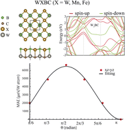 Graphical abstract: Exploring room-temperature ferromagnetism in WXBC (X = W, Mn, Fe) monolayers