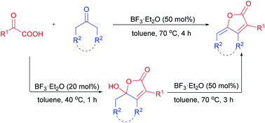 Graphical abstract: BF3·Et2O-Mediated annulation of α-keto acids with aliphatic ketones for the synthesis of γ-hydroxy-butenolides and γ-alkylidene-butenolides