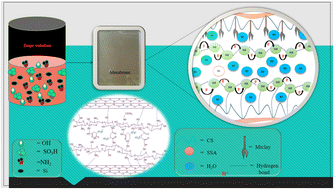 Graphical abstract: Characteristics and performance studies of a composite polymer electrolyte membrane based on chitosan/glycerol–sulfosuccinic acid modified montmorillonite clay