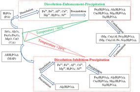 Graphical abstract: The role of curing temperature and reactive aluminum species on characteristics of phosphate geopolymer