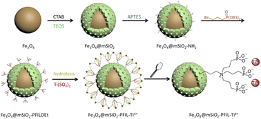 Graphical abstract: Magnetic mesoporous silica nanoparticles modified by phosphonate functionalized ionic liquid for selective enrichment of phosphopeptides