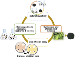 Graphical abstract: Antibacterial activities against Staphylococcus aureus and Escherichia coli of extracted Piper betle leaf materials by disc diffusion assay and batch experiments