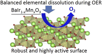 Graphical abstract: Highly active and stable surface structure for oxygen evolution reaction originating from balanced dissolution and strong connectivity in BaIrO3 solid solutions