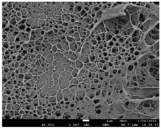 Graphical abstract: Preparation and properties of cellulose nanocrystal-based ion-conductive hydrogels