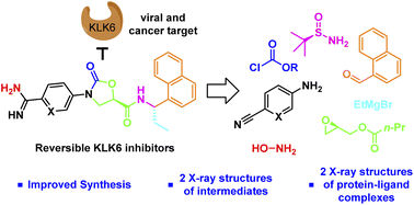 Graphical abstract: Scalable synthesis and structural characterization of reversible KLK6 inhibitors
