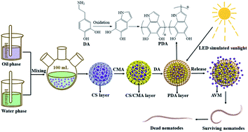 Graphical abstract: Construction of a photothermal controlled-release microcapsule pesticide delivery system