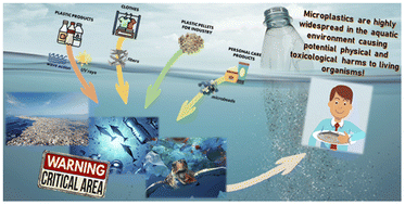 Graphical abstract: Microplastics in aquatic systems, a comprehensive review: origination, accumulation, impact, and removal technologies