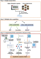 Graphical abstract: Combining multiple acquisition modes and computational data annotation for structural characterization in traditional Chinese medicine: Miao Nationality medicine Qijiao Shengbai Capsule as a case study