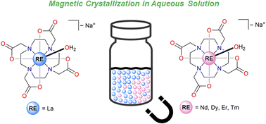 Graphical abstract: Harnessing magnetic fields for rare-earth complex crystallization–separations in aqueous solutions