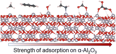 Graphical abstract: Modelling the strength of mineral–organic binding: organic molecules on the α-Al2O3(0001) surface