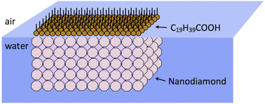 Graphical abstract: Diamond-rich crystalline nanosheets seeded with a Langmuir monolayer of arachidic acid on water