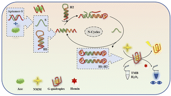 Graphical abstract: Developing a DNA logic gate nanosensing platform for the detection of acetamiprid