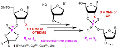 Graphical abstract: Synthesis and hybridizing properties of P-stereodefined chimeric [PS]-{DNA:RNA} and [PS]-{DNA:(2′-OMe)-RNA} oligomers