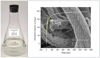 Graphical abstract: The use of acrylic yarn modified with amidoxime and carboxylate-containing polymer for lead removal from drinking water