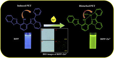 Graphical abstract: Zinc ion detection using a benzothiazole-based highly selective fluorescence “turn-on” chemosensor and its real-time application