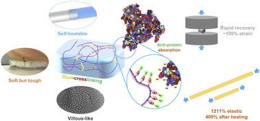 Graphical abstract: A multi-functional zwitterionic hydrogel with unique micro-structure, high elasticity and low modulus