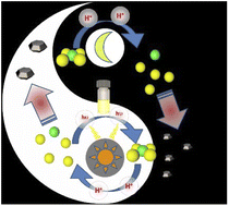 Graphical abstract: Photo-enhanced growth of lead halide perovskite crystals and their electro-optical properties