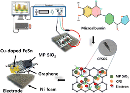 Graphical abstract: A flexible mesoporous Cu doped FeSn–G–SiO2 composite based biosensor for microalbumin detection