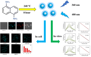 Graphical abstract: Nitrogen-doped cyan-emissive carbon quantum dots for fluorescence tetracycline detection and lysosome imaging