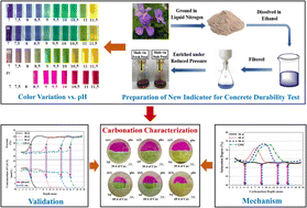 Graphical abstract: Tracing carbonation in cementitious slurry using anthocyanin extracted from fresh or stale petals