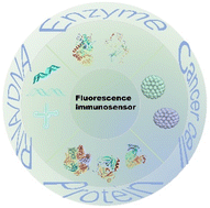 Graphical abstract: Fluorescence immunosensor based on functional nanomaterials and its application in tumor biomarker detection