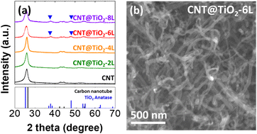 Graphical abstract: Carbon nanotube–titanium dioxide nanocomposite support for improved activity and stability of an iridium catalyst toward the oxygen evolution reaction