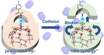 Graphical abstract: Hydrogen bond networks in gas-phase complex anions