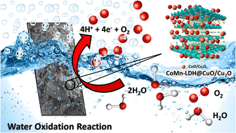 Graphical abstract: Electrocatalytic water oxidation on CuO–Cu2O modulated cobalt-manganese layered double hydroxide
