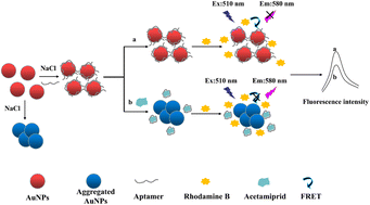 Graphical abstract: A fluorescent aptasensor based on gold nanoparticles quenching the fluorescence of rhodamine B to detect acetamiprid