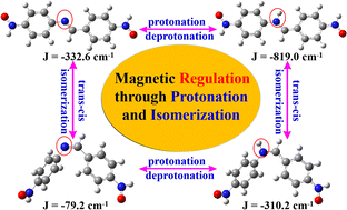 Graphical abstract: Enhancing magnetic coupling through protonation of benzylideneaniline-bridged diradicals and comparison with stilbene- and azobenzene-based diradicals