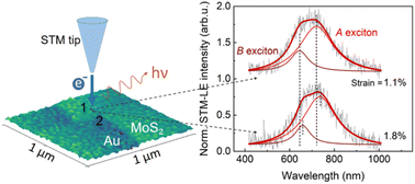 Graphical abstract: Local strain and tunneling current modulate excitonic luminescence in MoS2 monolayers