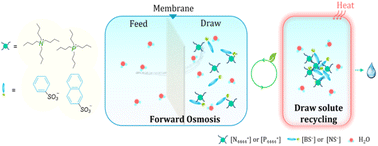 Graphical abstract: Influence of the anionic structure and central atom of a cation on the properties of LCST-type draw solutes for forward osmosis