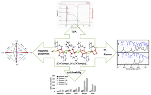Graphical abstract: Copper(ii) complexes with 2-ethylpyridine and related hydroxyl pyridine derivatives: structural, spectroscopic, magnetic and anticancer in vitro studies