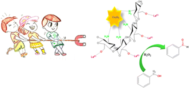 Graphical abstract: Co3O4@chitosan/La2O3 nanocomposites as innovative, powerful, and recyclable nanocatalysts for sonochemical treatment of benzyl alcohols to obtain the corresponding benzaldehyde derivatives