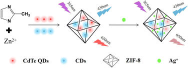 Graphical abstract: Dual-emissive ratiometric fluorescent nanosensor based on multi-nanomaterials for Ag+ determination in lake water